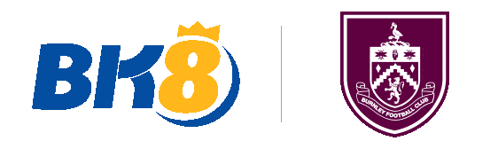 LOGO BK8